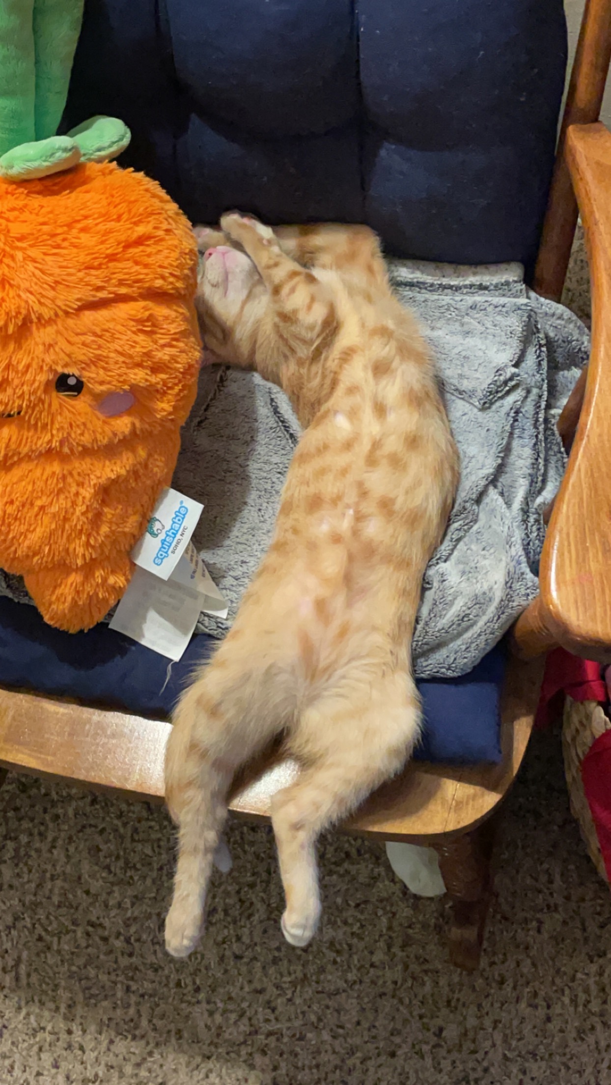 snugglepuddle