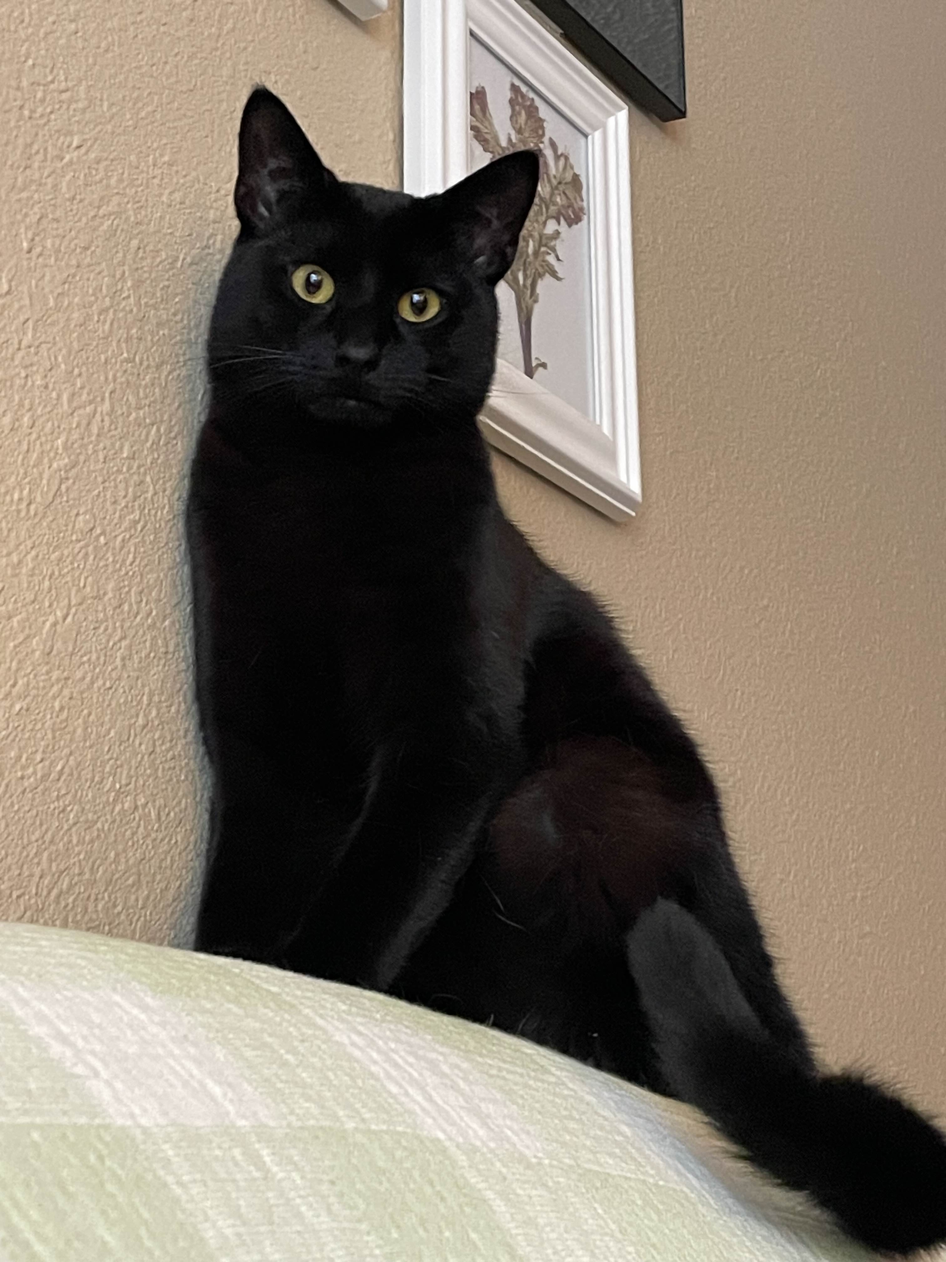 gunther