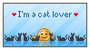 catthinks