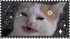 crumch